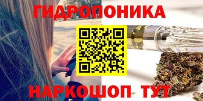 индика Чапаевск