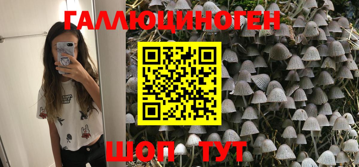 Псилоцибиновые грибы GOLDEN TEACHER Белорецк