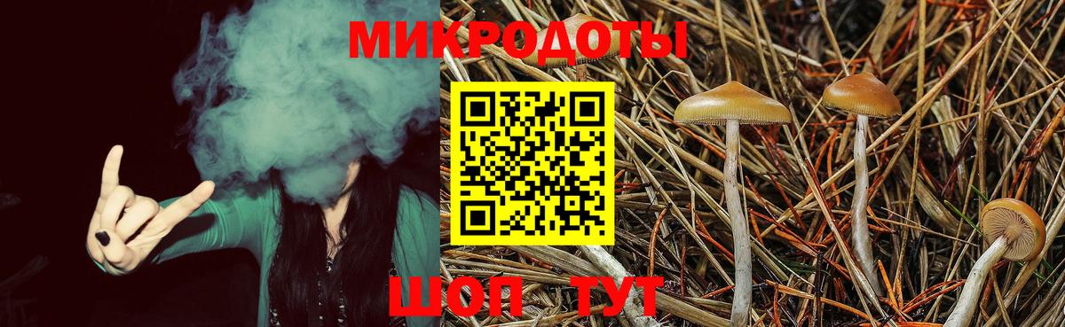 Галлюциногенные грибы мицелий  Вход с VPN  Белорецк 